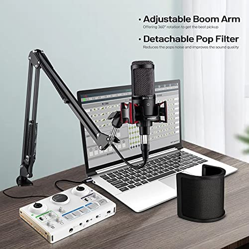 Microfone Condensador Xlr, Microfone De Gravação De Estúdio