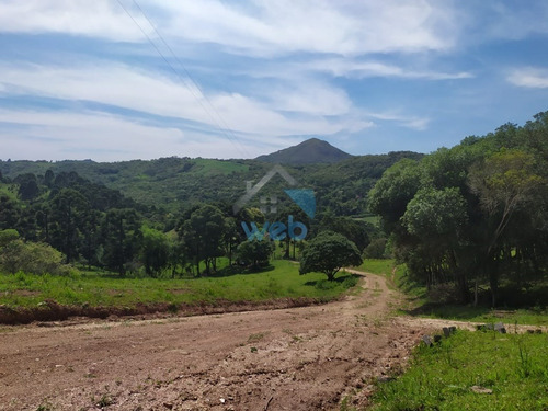 Lotes Para Chácaras No Bairro Gabiroba, Em Campo Largo, Com Metragens A Partir De 20.000,00 M², Contando Com Excelente Localização. - Ch00006 - 69235944