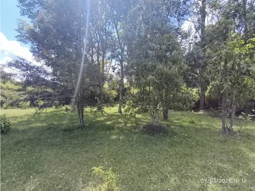 Vendo Lote En Llano Grande Vereda Cabeceras De 6.307 M² Sobre Vía