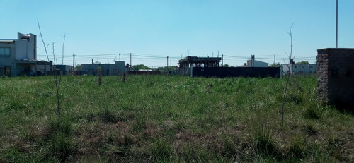 Imagen 2 de 5 de Terreno En Venta En Máximo Paz