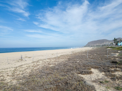 Baja Life Beachfront Lot 2872