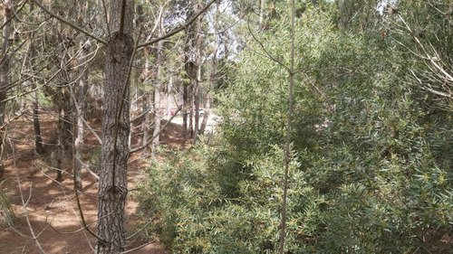 Imagen 2 de 4 de Terreno - Costa Esmeralda
