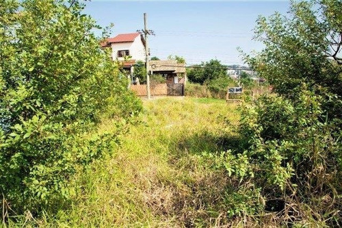 Imagem 7 de 11 de Terreno - Jardim Leopoldina - Ref: 590803 - V-ca5192
