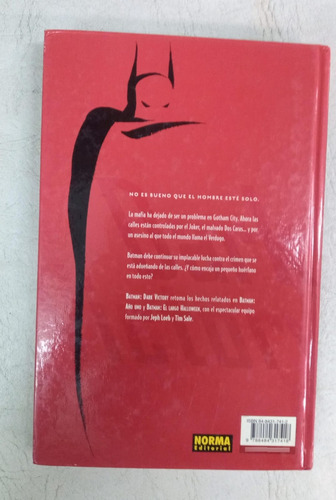 Batman Dark Victory - Jeph Loeb & Tim Sale - Ed. Norma (Usado)