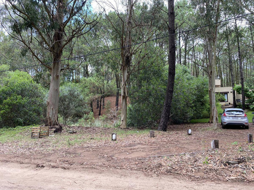 Imagen 7 de 12 de En Venta Terreno - Mar De Las Pampas - Oportunidad.
