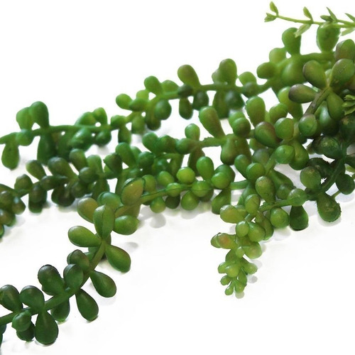 Suculenta Pendente Artificial Com 3 Ramos De 60, 70 E 80 Cm