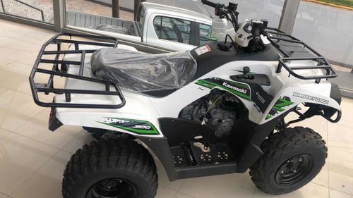 Kawasaki Brute Force 300