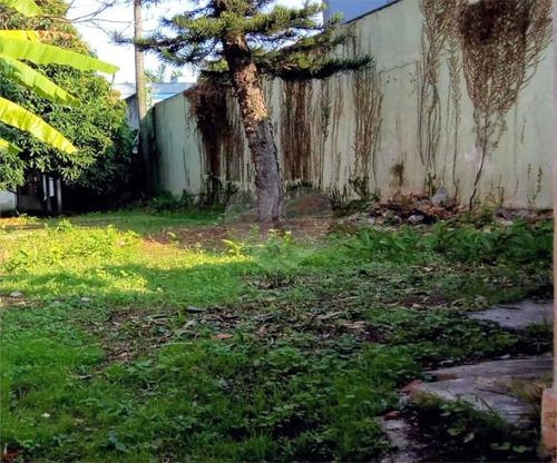 Imagem 10 de 16 de Terreno - Reo473496
