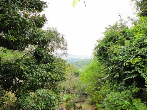 Casa Com 5 Dormitórios À Venda, 620 M² Por R$ 2.500.000,00 - Condomínio Monte Belo - Salto/sp - Ca0765