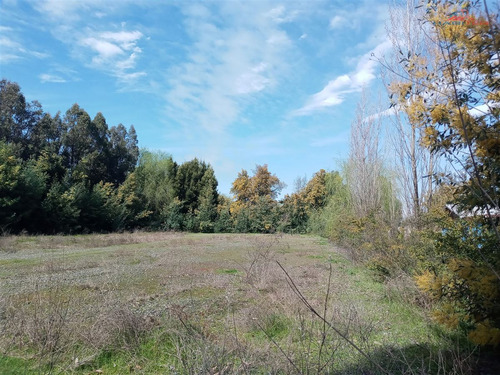 Se Vende Parcela Sector Chacarillas De 5.000 Mt2 En Maule