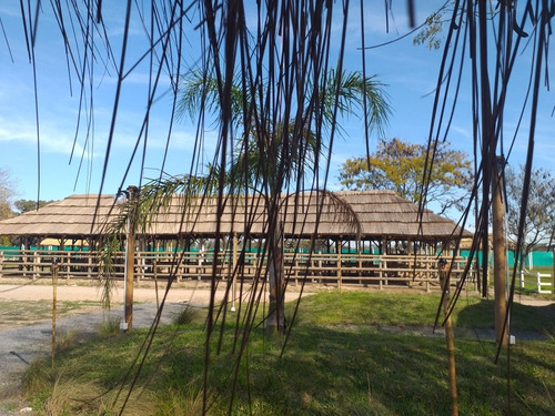 Lotes En Club De Campo Haras El Terraplen