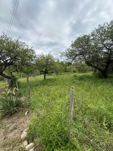 Terreno Regular De 1000m2 Con Bajada Al Rio A 40m En Villa Los Aromos. Con Escritura
