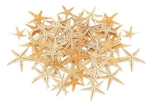 - Decoración Estrella De Mar Natural Para 1-5cm 100 Piezas