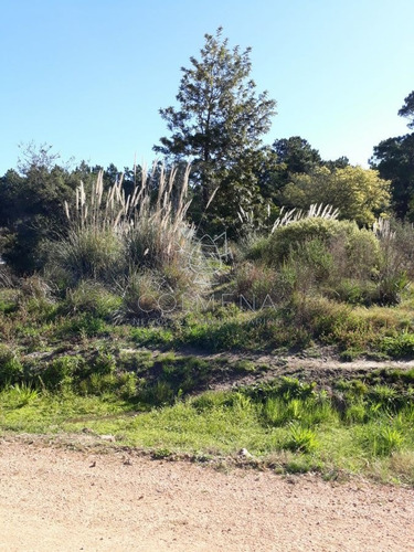 Imagen 2 de 6 de Terreno Próximo A La Costa En Piedras Del Chileno - Punta Del Este Piedras Del Chileno