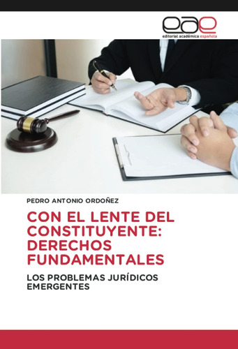 Libro: Con El Lente Del Constituyente: Derechos Los (spanish