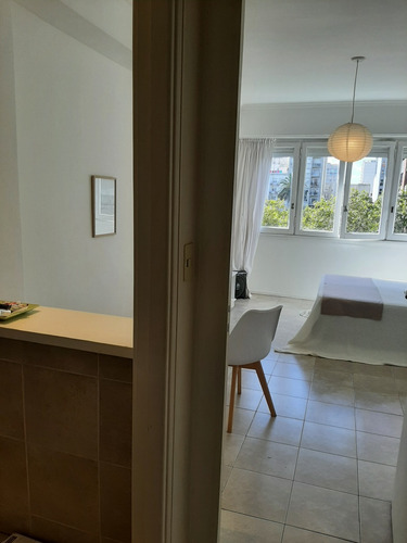 Hermoso Departamento 1 Ambiente Por Dia