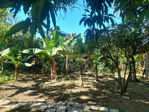 Finca Disponible, Casa Principal, Local Comercial, Casa De Capataz Y Gran Terreno Sembrado De Plátanos, Yuca, Naranjas Y Otros (jpc-232)