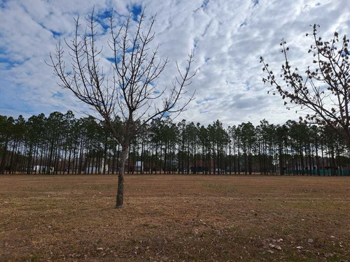 Imagen 5 de 13 de Terreno En Venta Chacras De La Villa