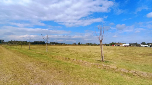 Imagen 3 de 8 de Campo - San Vicente