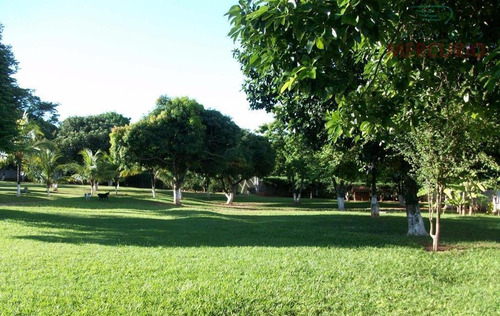 Imagem 13 de 14 de Chácara À Venda, 6000 M² Por R$ 990.000,00 - Recantos Dos Bandeirantes - Piratininga/sp - Ch0047