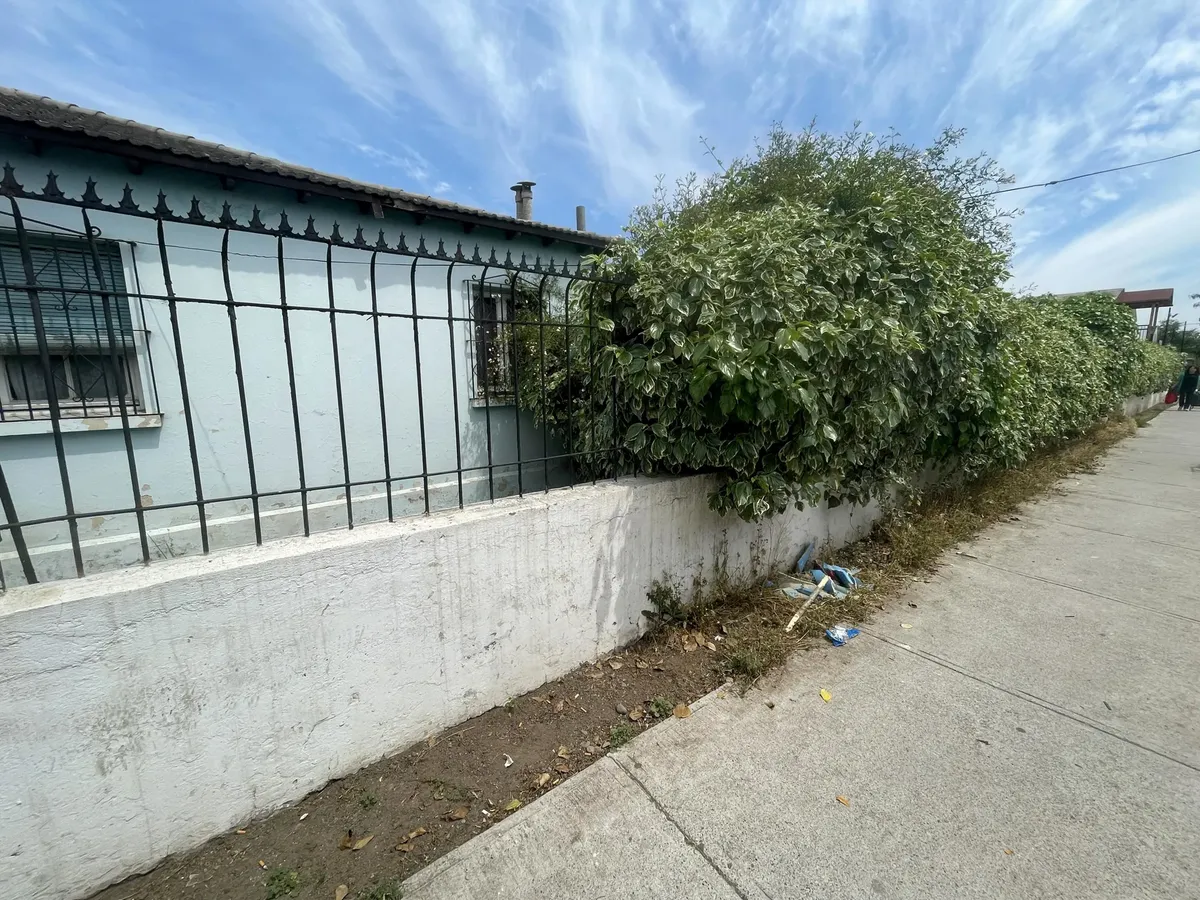 Imagen 3 de 15 de Casa Para Remodelar Con Gran Terreno De 815m2