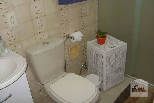 Imagem 9 de 12 de Apartamento À Venda No Floresta - Código 229993 - 229993