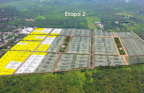 Terreno En Venta, En Chicxulub, Yucatán