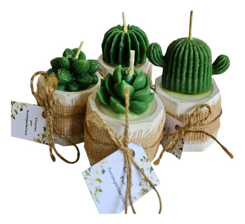 12 Recuerdos Toda Ocasion Velas De Suculenta Personalizada