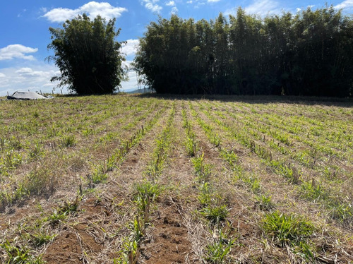 Imagem 8 de 14 de 16- Adquira Seu Lote Para Chácara Em Igaratá