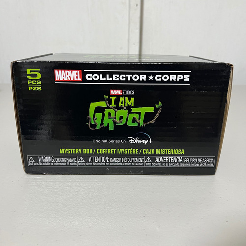 Funko Box Marvel Collector Corps Marvel Studios I Am Groot