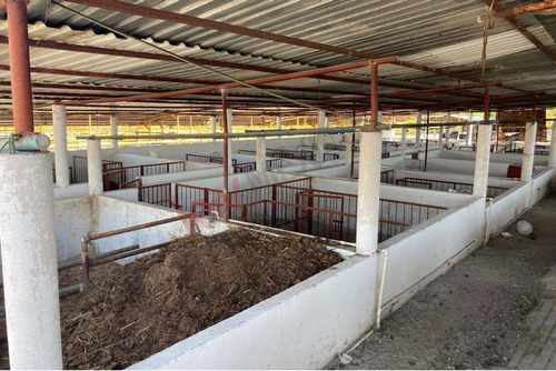 Venta De Increíble Rancho Al Mejor Precio En Tetecala, Morelos,ideal Para Inversionistas Y Ganad...