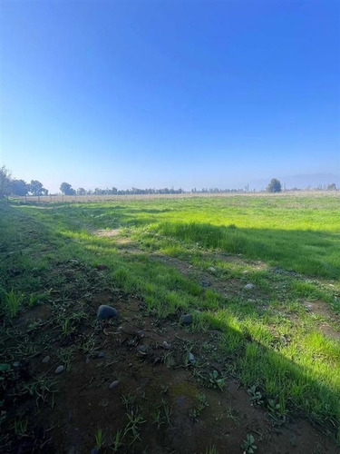 Imagen 4 de 23 de Sitio En Venta En Isla De Maipo