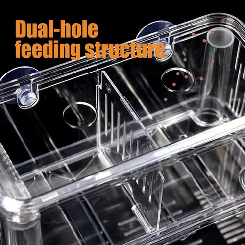 Caja De Cría De Peces Tanque De Cría De Acrílico De Doble Ca
