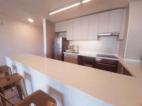 Impecable Departamento Amoblado 2d-2b-1e (67774)
