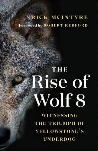 The Rise Of Wolf 8 : Witnessing The Triumph Of Yellowstone's Underdog, De Rick Mcintyre. Editorial Greystone Books,canada, Tapa Blanda En Inglés