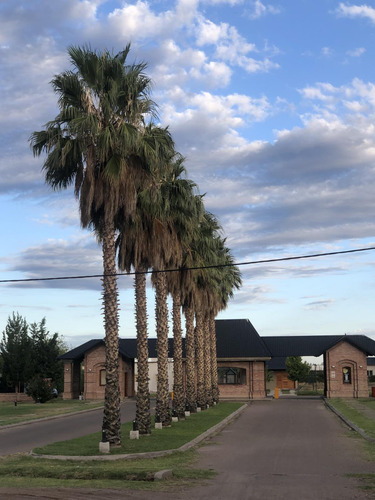 Terreno En Venta En Barrio Privado Viñas Del Sur - San Rafael - Mendoza