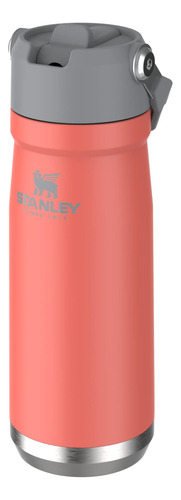 Stanley 94335pt Vaso Con Popote Abatible Guava 650ml