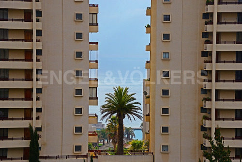 Imagen 4 de 14 de Departamento Algarrobo