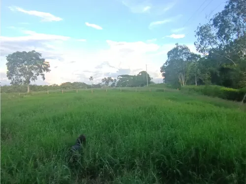 Se Venden Lotes Montenegro Quindío