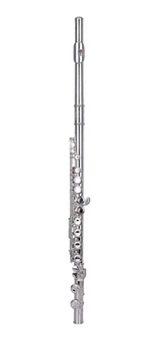 Flauta Traversa Wisemann Dfl 385 Plateada Sale%