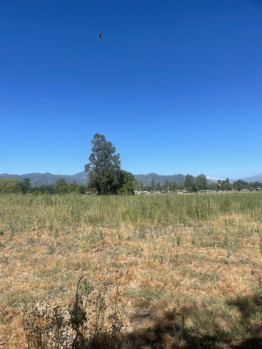 Parcelas 5.000 Mts C/apr Y Derechos De Agua, Los Aromos