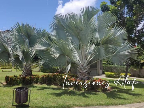 Imagen 12 de 15 de Inversiones Ataf Vende Apartamento En Apamate Suites