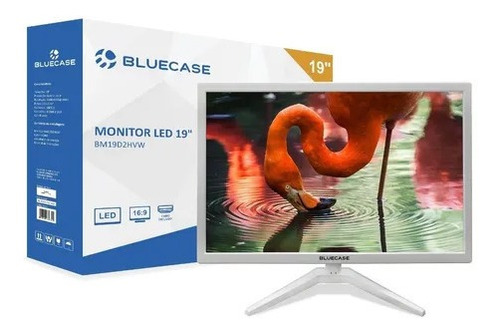 Monitor Led 19 Branco Bluecase Hdmi Vga Vesa 60hz 5ms