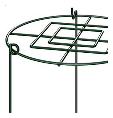 3 Piezas De Jaula De Soporte Para Peonías, Aros De 30x45cm