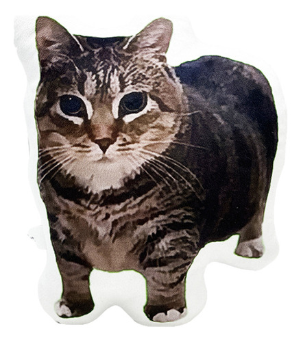 Almohada Con Estampado Divertido De Gato Oiiai De 26 Cm, Pel