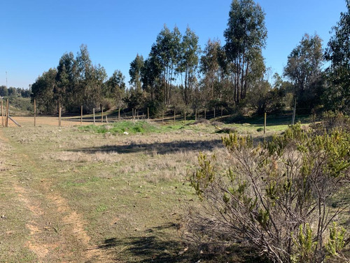 Venta De Terreno En Camino Del Medio Algarrobo 