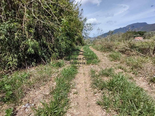 Imagem 5 de 19 de Terreno À Venda No Bairro Pilões - Guaratinguetá/sp - Tr010-1