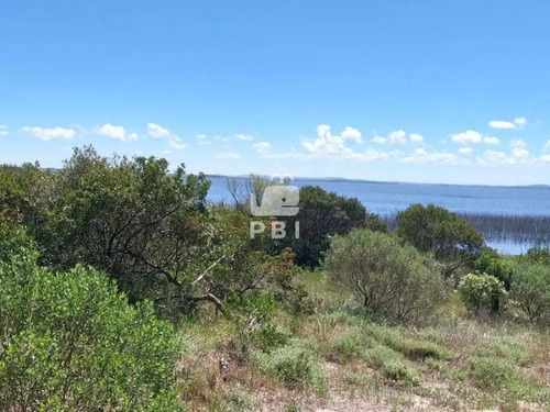 Terreno En Venta En Club Del Lago, Punta Ballena - Ref : Pbi14089