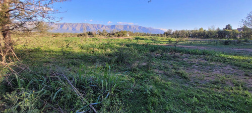Terreno En Venta En Nono