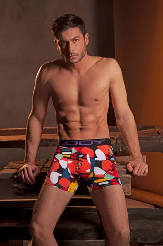 Lody men boxer sale